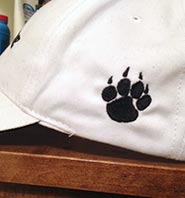 BearCo Cap